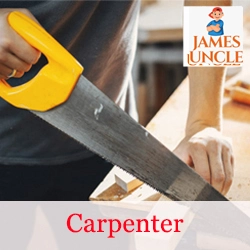 Carpenter Mr. Sagar Goari in Searsole Rajbari